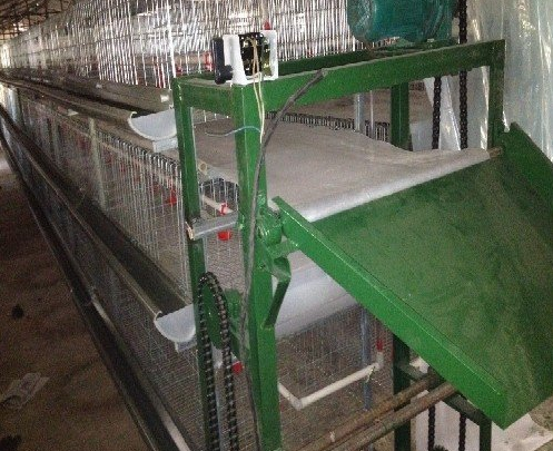 蛋鸡装备传送带式清粪机常见的这些问题你都知道吗？？？