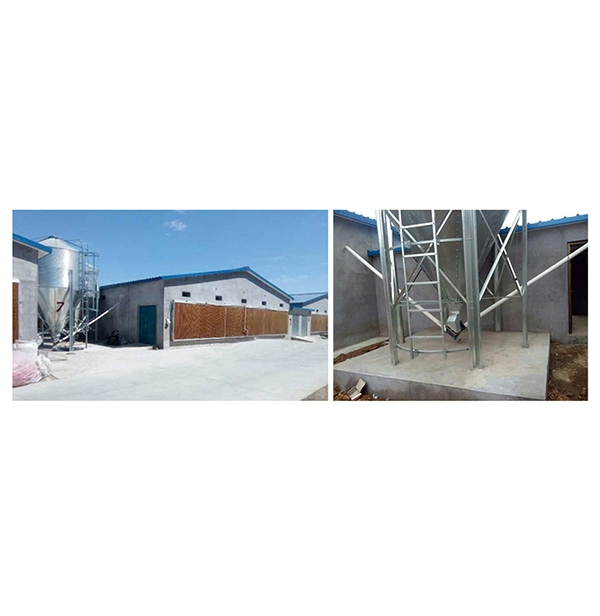 铁岭肉鸡自动送料系统