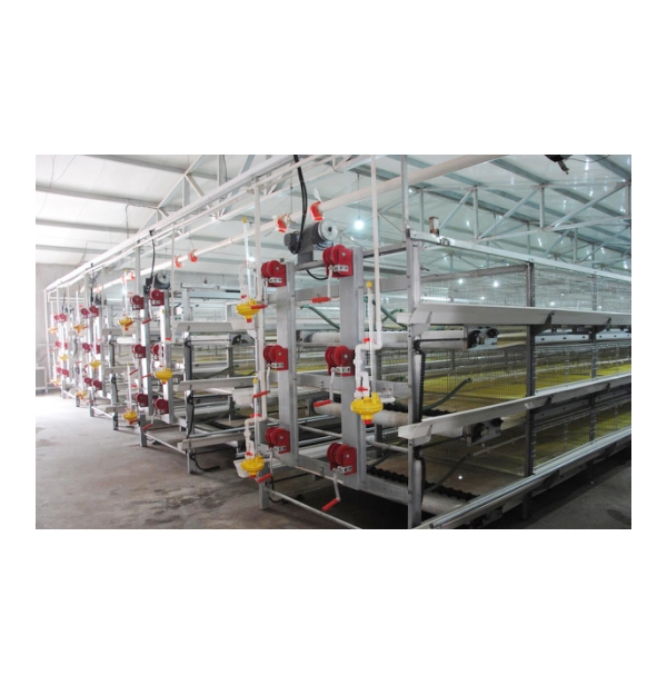 铁岭肉鸡笼养系统