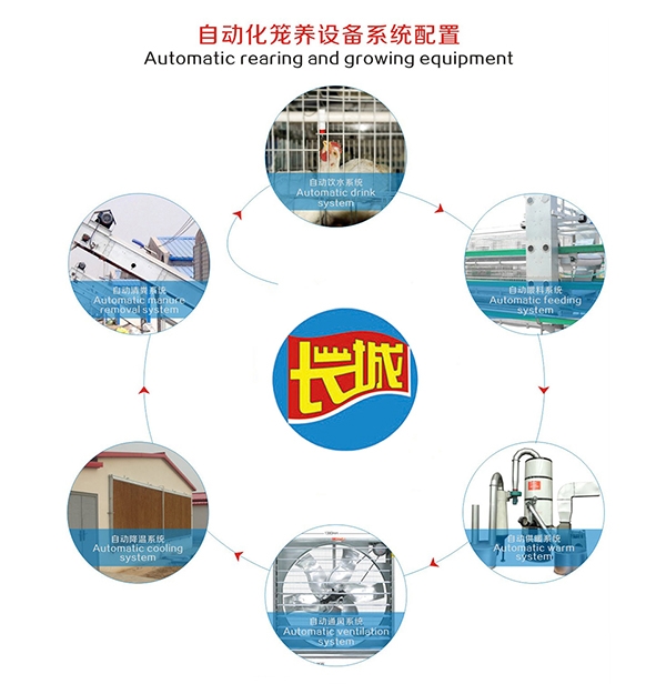 铁岭肉鸡自动饮水系统