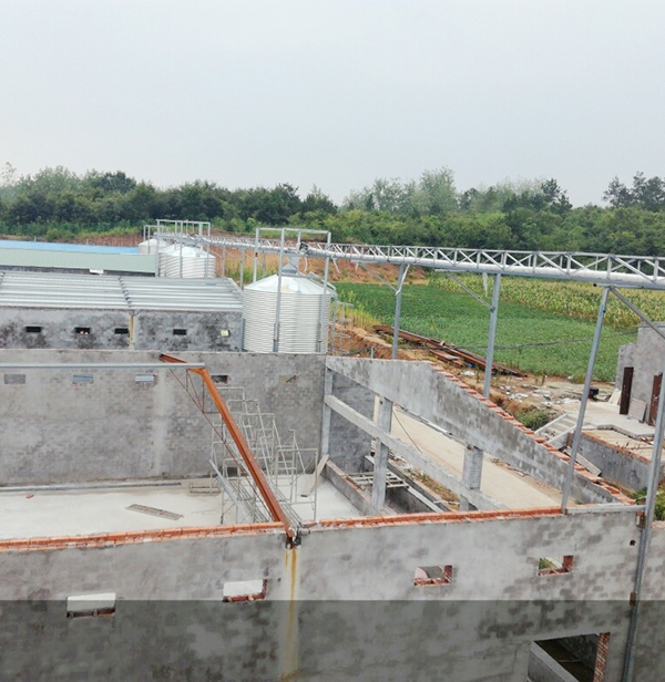 自贡蛋鸡自动送料系统