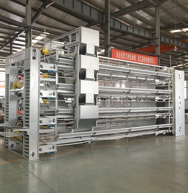 自贡全自动养鸡装备厂家